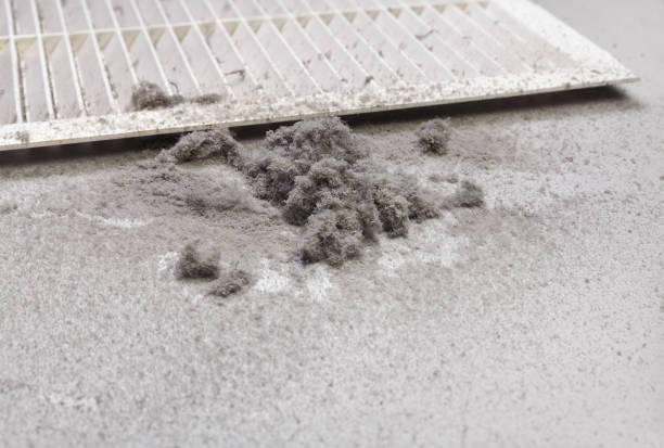 Best Ductwork Cleaning Services  in Adamsville, AL