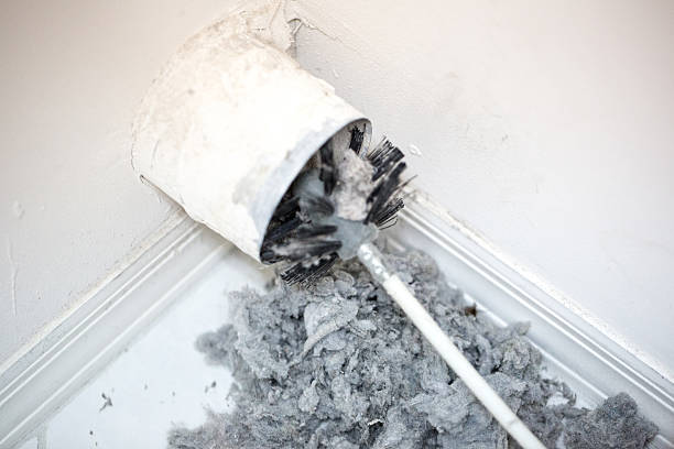 Best Professional Duct Cleaning Services  in Adamsville, AL
